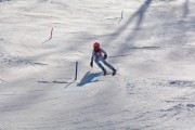 Vilciņa kauss 4.posms - Fans balvas izcīņa