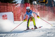 SKILV CUP Pozza di Fassa 2026, Foto: E.Lukšo