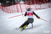 FIS Baltijas kauss 2026 2. posms elitei, Foto: E.Lukšo