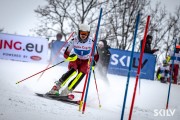 FIS Baltijas kauss 2026 2. posms elitei, Foto: E.Lukšo