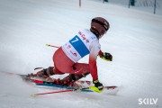FIS Baltijas kauss 2026 2. posms elitei, Foto: E.Lukšo