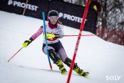 FIS Baltijas kauss 2026 2. posms elitei, Foto: E.Lukšo