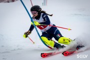 FIS Baltijas kauss 2026 2. posms elitei, Foto: E.Lukšo