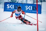 FIS Baltijas kauss 2026 2. posms elitei, Foto: E.Lukšo