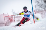 FIS Baltijas kauss 2026 2. posms elitei, Foto: E.Lukšo