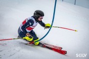 FIS Baltijas kauss 2026 2. posms elitei, Foto: E.Lukšo