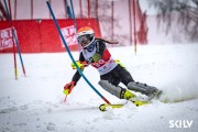 FIS Baltijas kauss 2026 2. posms elitei, Foto: E.Lukšo