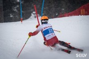 FIS Baltijas kauss 2026 2. posms elitei, Foto: E.Lukšo