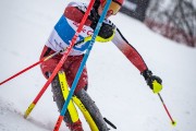 FIS Baltijas kauss 2026 2. posms elitei, Foto: E.Lukšo
