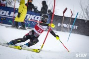 FIS Baltijas kauss 2026 2. posms elitei, Foto: E.Lukšo