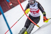 FIS Baltijas kauss 2026 2. posms elitei, Foto: E.Lukšo
