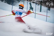 FIS Baltijas kauss 2026 2. posms elitei, Foto: E.Lukšo