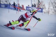 FIS Baltijas kauss 2026 3. posms elitei, Foto: E.Lukšo
