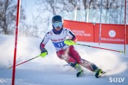 FIS Baltijas kauss 2026 3. posms elitei, Foto: E.Lukšo