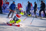 FIS Baltijas kauss 2026 3. posms elitei, Foto: E.Lukšo