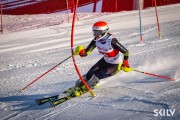 FIS Baltijas kauss 2026 3. posms elitei, Foto: E.Lukšo