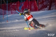 FIS Baltijas kauss 2026 3. posms elitei, Foto: E.Lukšo