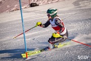 FIS Baltijas kauss 2026 3. posms elitei, Foto: E.Lukšo