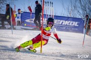 FIS Baltijas kauss 2026 3. posms elitei, Foto: E.Lukšo