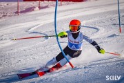FIS Baltijas kauss 2026 3. posms elitei, Foto: E.Lukšo