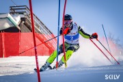 FIS Baltijas kauss 2026 3. posms elitei, Foto: E.Lukšo