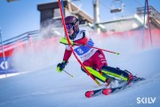 FIS Baltijas kauss 2026 3. posms elitei, Foto: E.Lukšo