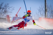 FIS Baltijas kauss 2026 3. posms elitei, Foto: E.Lukšo
