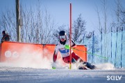 FIS Baltijas kauss 2026 3. posms elitei, Foto: E.Lukšo