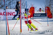 FIS Baltijas kauss 2026 3. posms elitei, Foto: E.Lukšo