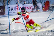 FIS Baltijas kauss 2026 3. posms elitei, Foto: E.Lukšo
