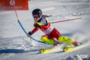 FIS Baltijas kauss 2026 3. posms elitei, Foto: E.Lukšo
