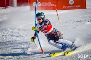 FIS Baltijas kauss 2026 3. posms elitei, Foto: E.Lukšo