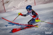 FIS Baltijas kauss 2026 3. posms elitei, Foto: E.Lukšo