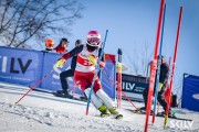 FIS Baltijas kauss 2026 3. posms elitei, Foto: E.Lukšo