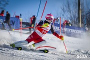 FIS Baltijas kauss 2026 3. posms elitei, Foto: E.Lukšo