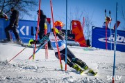 FIS Baltijas kauss 2026 3. posms elitei, Foto: E.Lukšo