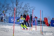 FIS Baltijas kauss 2026 3. posms elitei, Foto: E.Lukšo