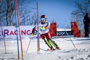 FIS Baltijas kauss 2026 3. posms elitei, Foto: E.Lukšo