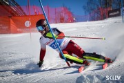 FIS Baltijas kauss 2026 3. posms elitei, Foto: E.Lukšo