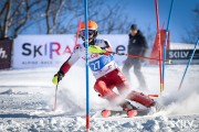 FIS Baltijas kauss 2026 3. posms elitei, Foto: E.Lukšo