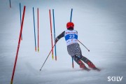 FIS Baltijas kauss 2026 3. posms elitei, Foto: E.Lukšo