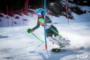 FIS NJR Val di Fassa SKILV, Foto: E.Lukšo