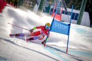 FIS SKILV NC GS Val di Fassa, Foto: E.Lukšo