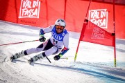 FIS SKILV NC GS Val di Fassa, Foto: E.Lukšo