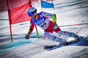 FIS SKILV NJR GS Val di Fassa, Foto: E.Lukšo
