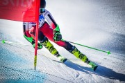 FIS SKILV NJR GS Val di Fassa, Foto: E.Lukšo