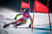 FIS SKILV NJR GS Val di Fassa, Foto: E.Lukšo