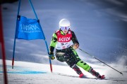 FIS SKILV NJR GS Val di Fassa, Foto: E.Lukšo