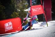 FIS SKILV NJR GS Val di Fassa, Foto: E.Lukšo