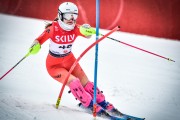 FIS SKILV NJR SL Val di Fassa, Foto:E.Lukšo